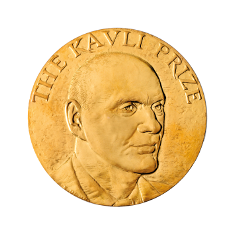 Medal of the Kavli Prize