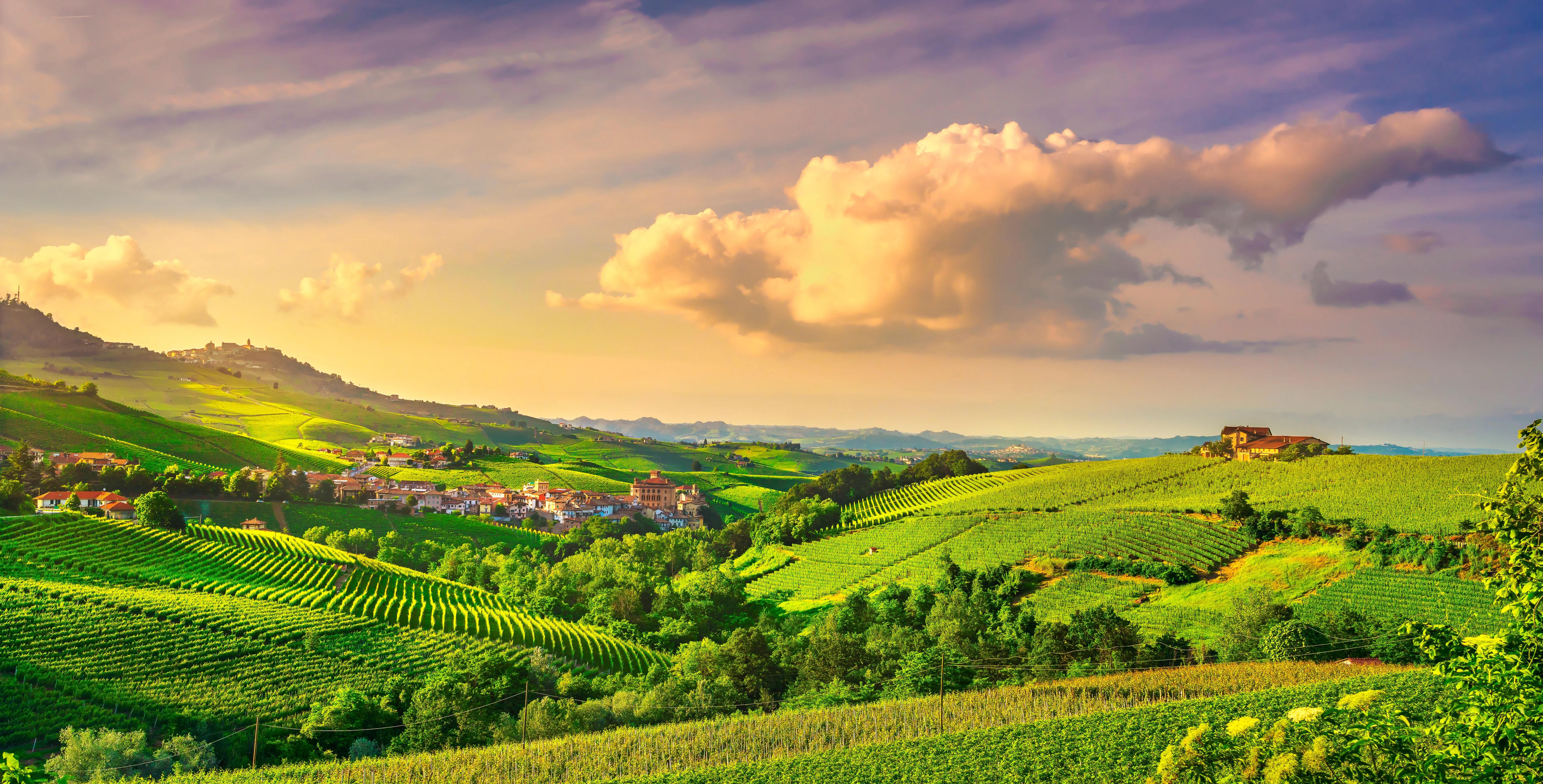 Rolling green vineyard hills with a village and farmhouse under a warm, cloudy sky.