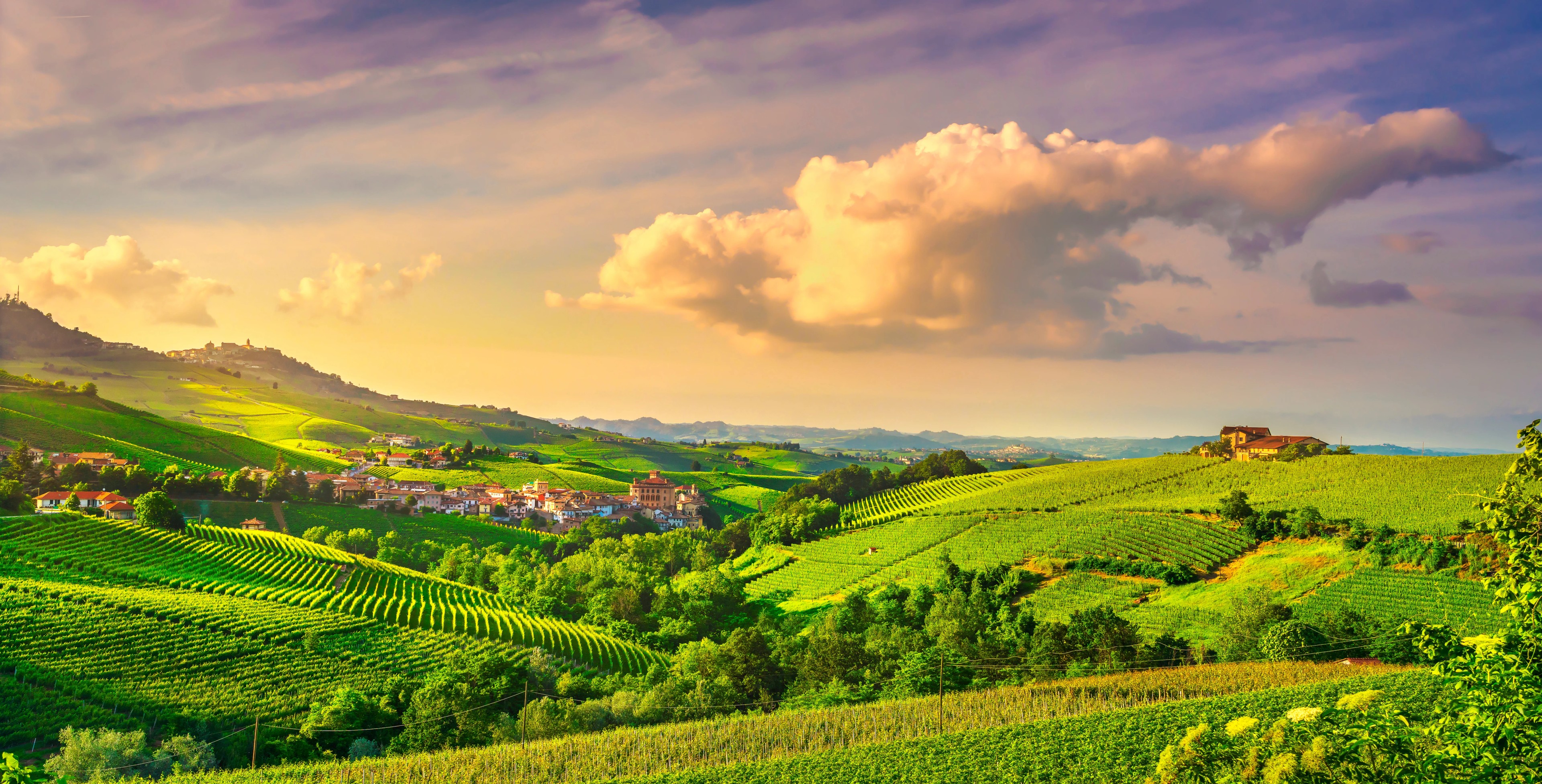 Rolling green hills covered in vineyards, with a village and farmhouse, under a dramatic, warm sky.