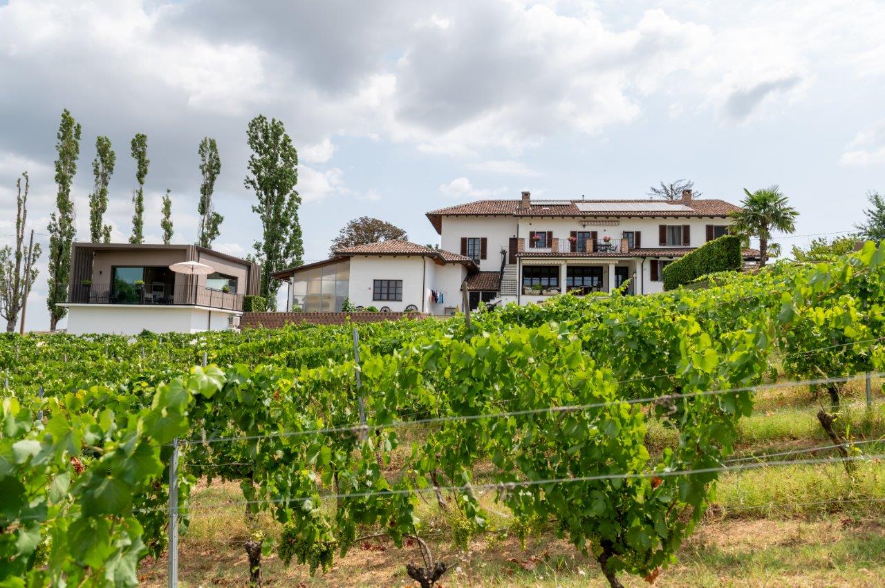 Vingården Casina Collina