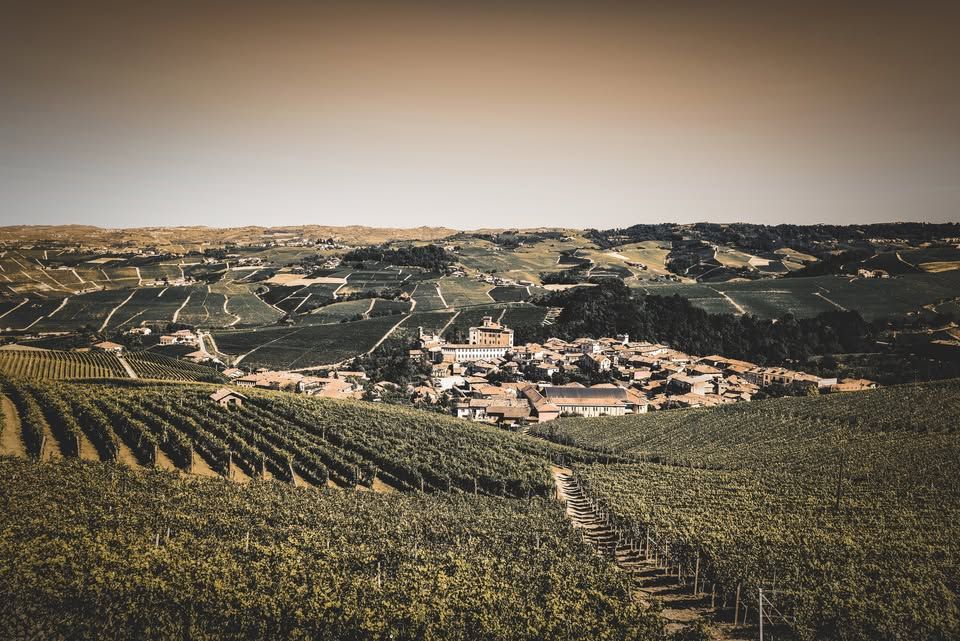 A village nestled among rolling hills covered in vineyards.