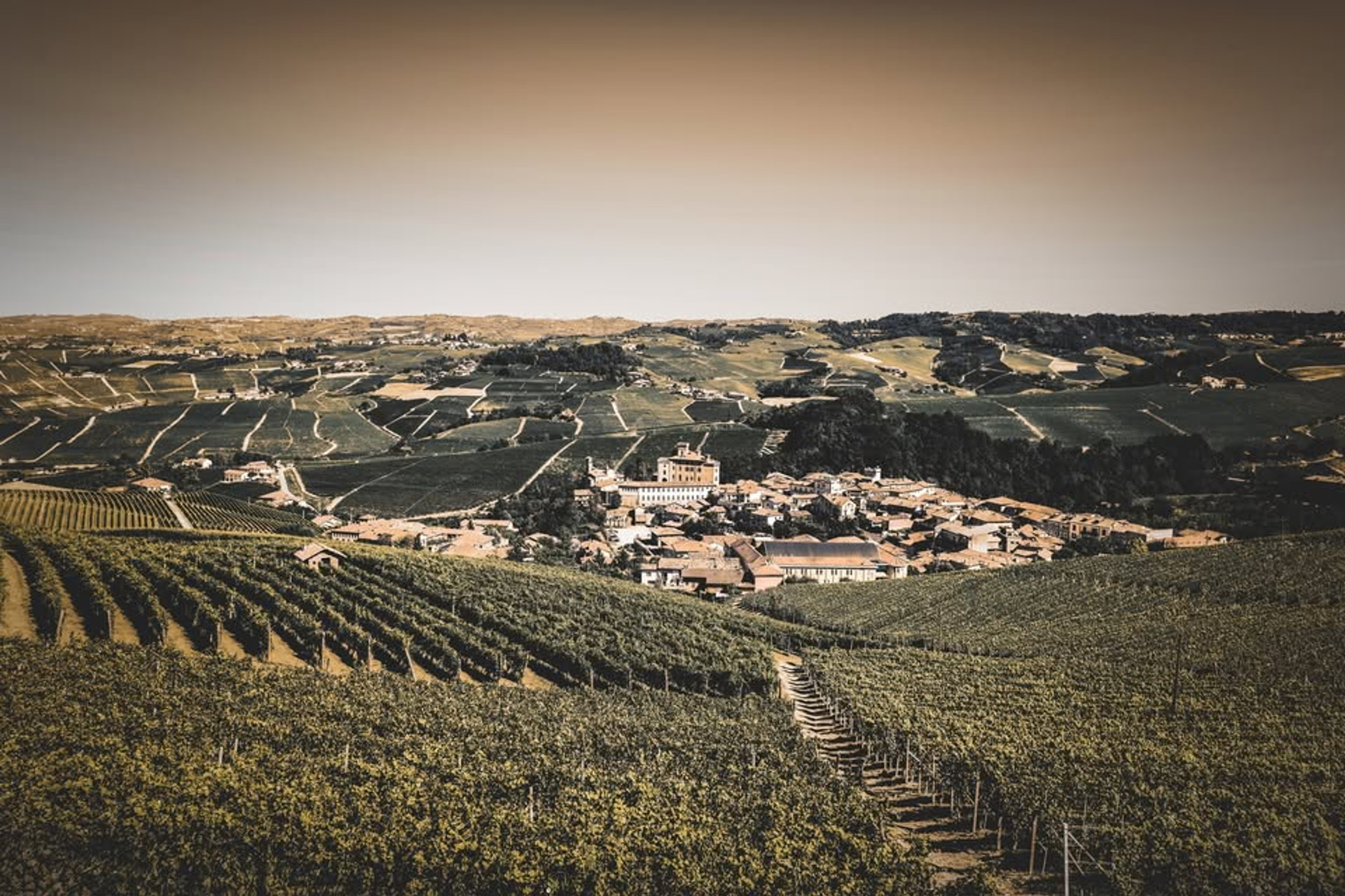 A village nestled among rolling hills covered in vineyards.