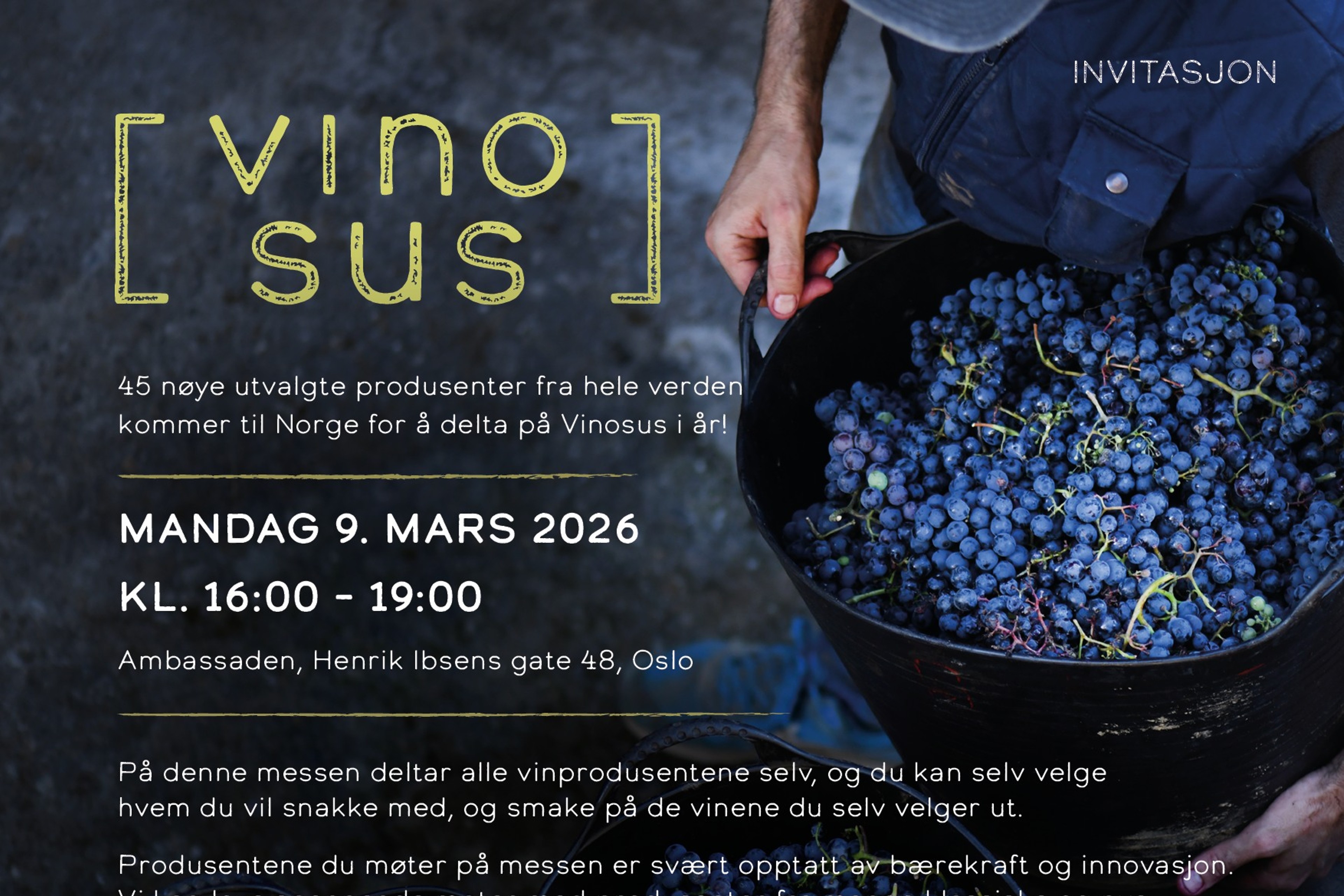 vinosus