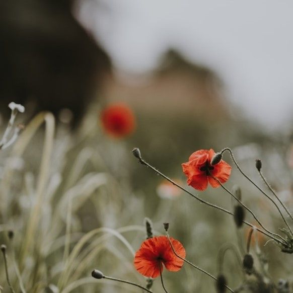 What does synthetic mean ?