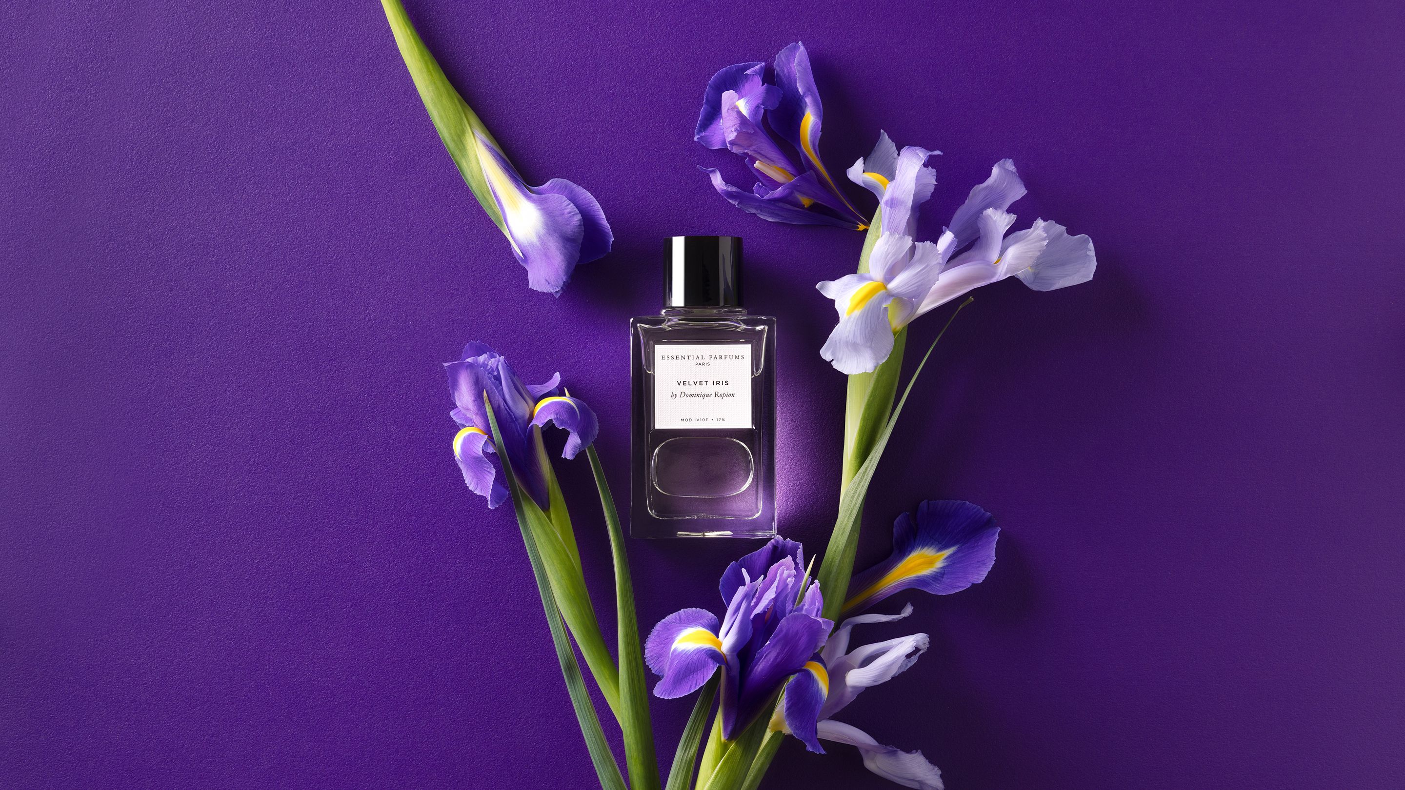 Velvet Iris by Dominique Ropion