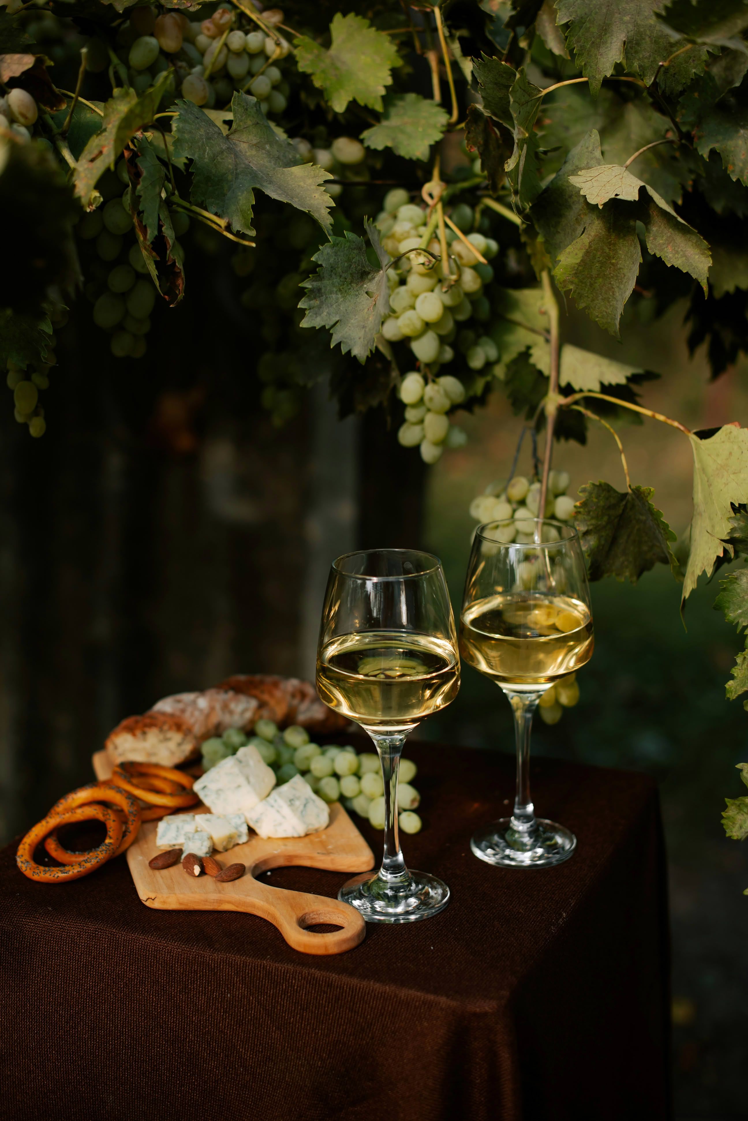 In Vino Veritas: как одеться на винную дегустацию, чтобы выглядеть безупречно