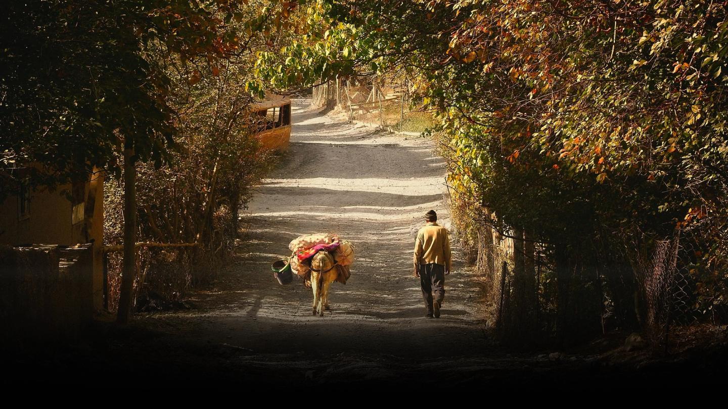 Ekspeditsiyalar