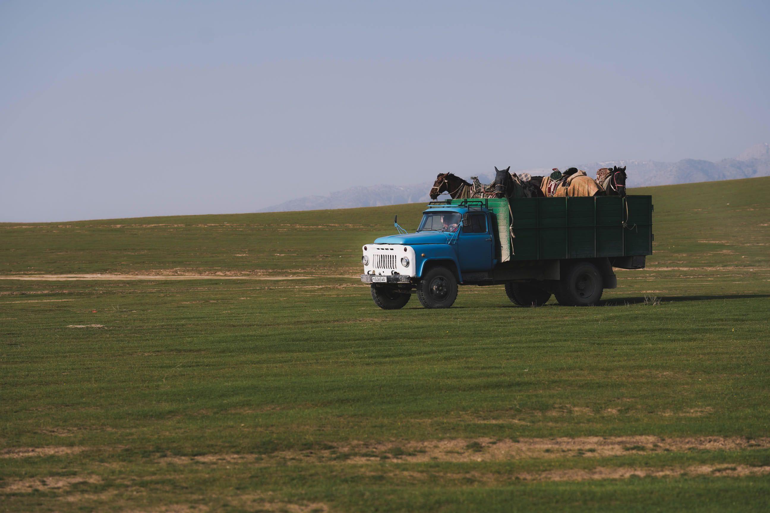 Ko'pkari — jasur chavandozlar musobaqasi. HILL UZBEKISTAN hujjatli ekspeditsiyasi