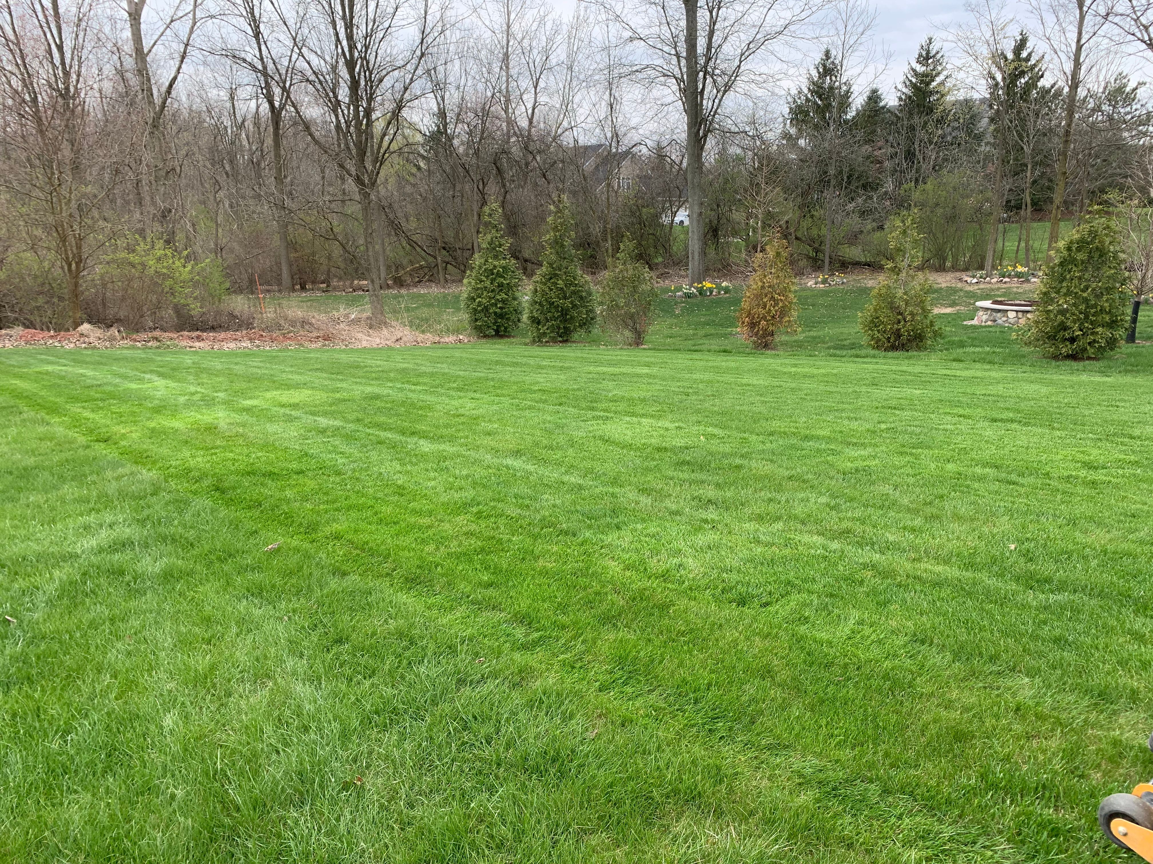 Lush green lawn being mowed in spring with colorful flowers in background