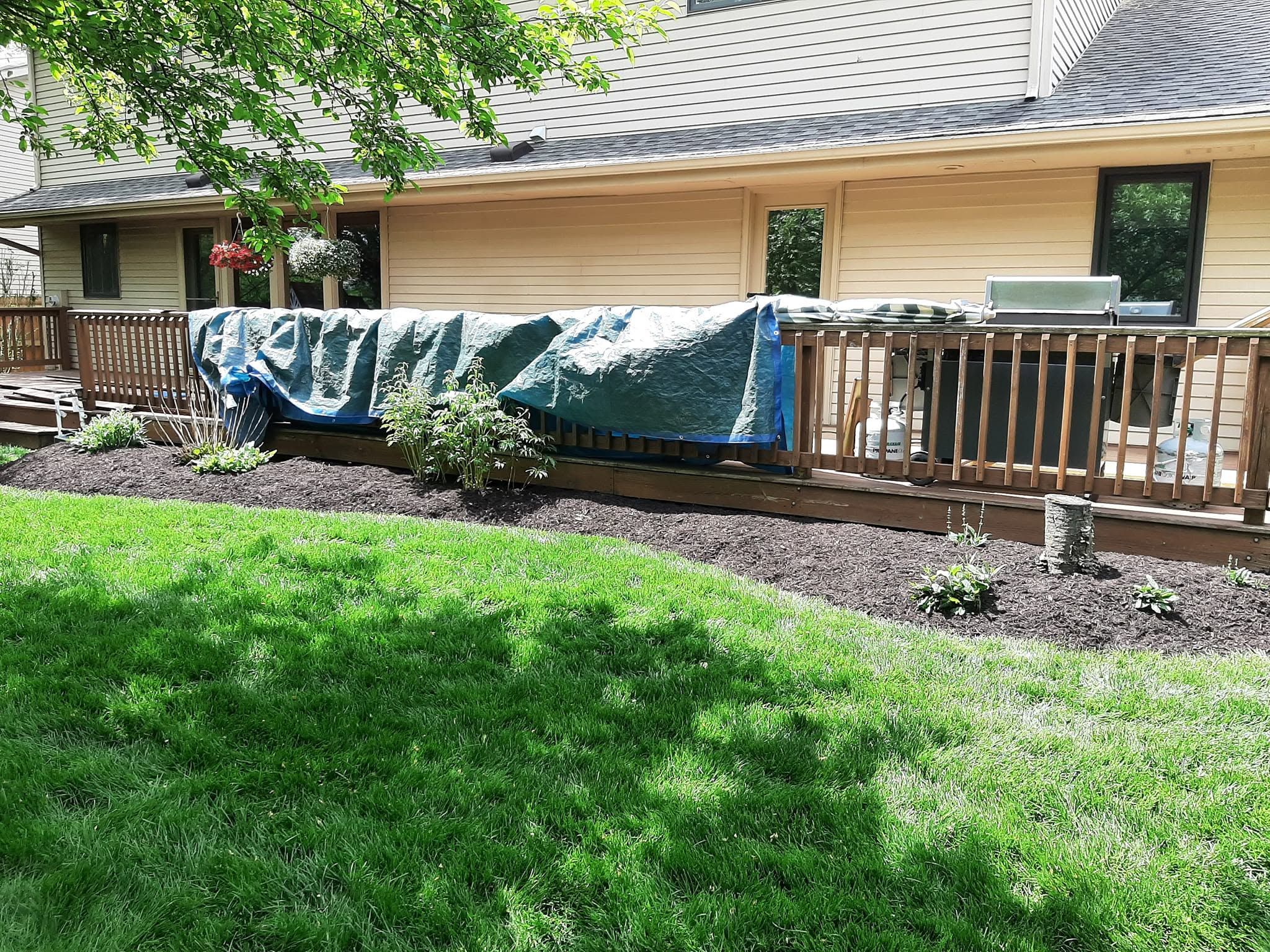 Backyard Around Deck