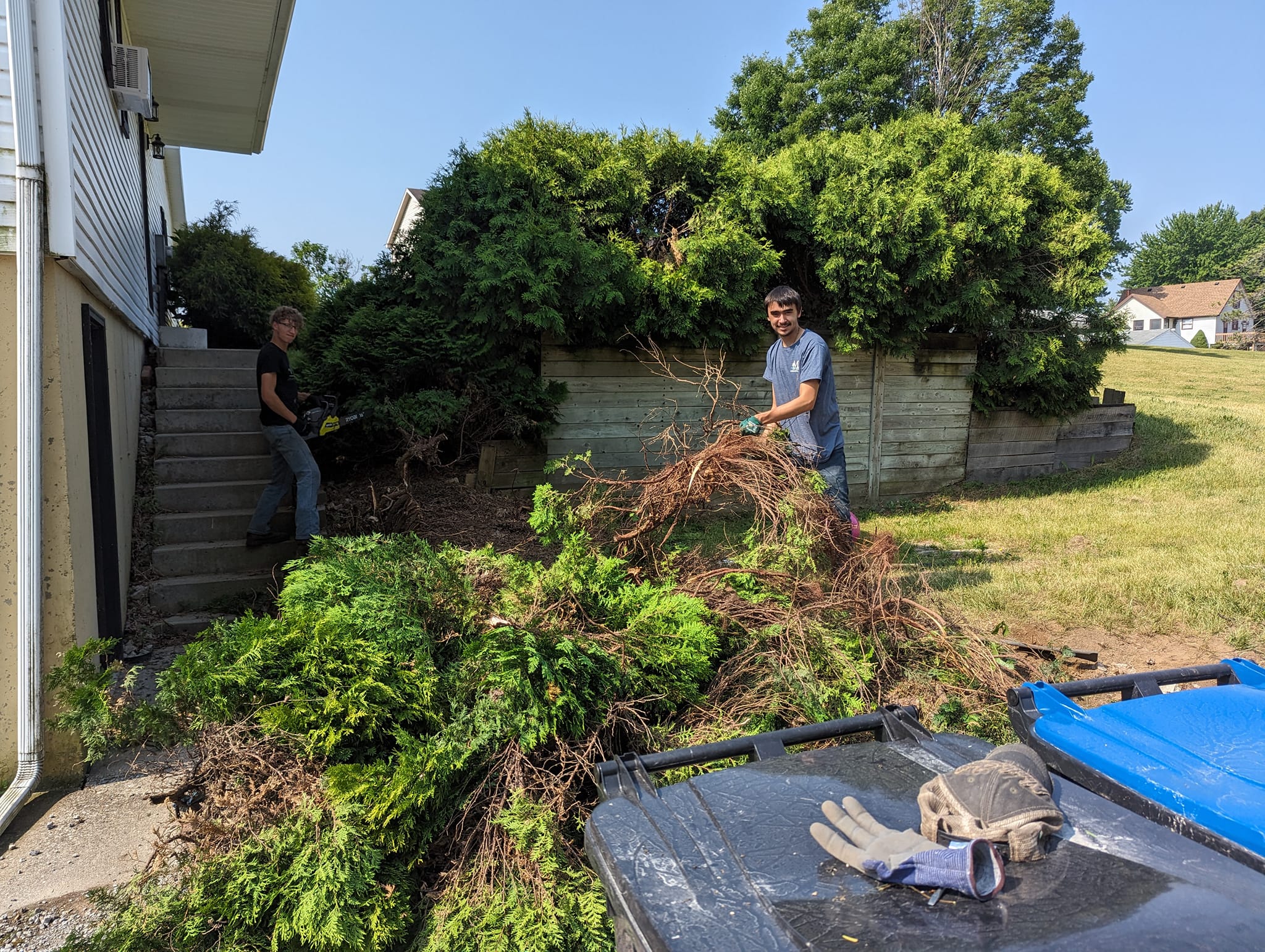 Overgrown brush removal process