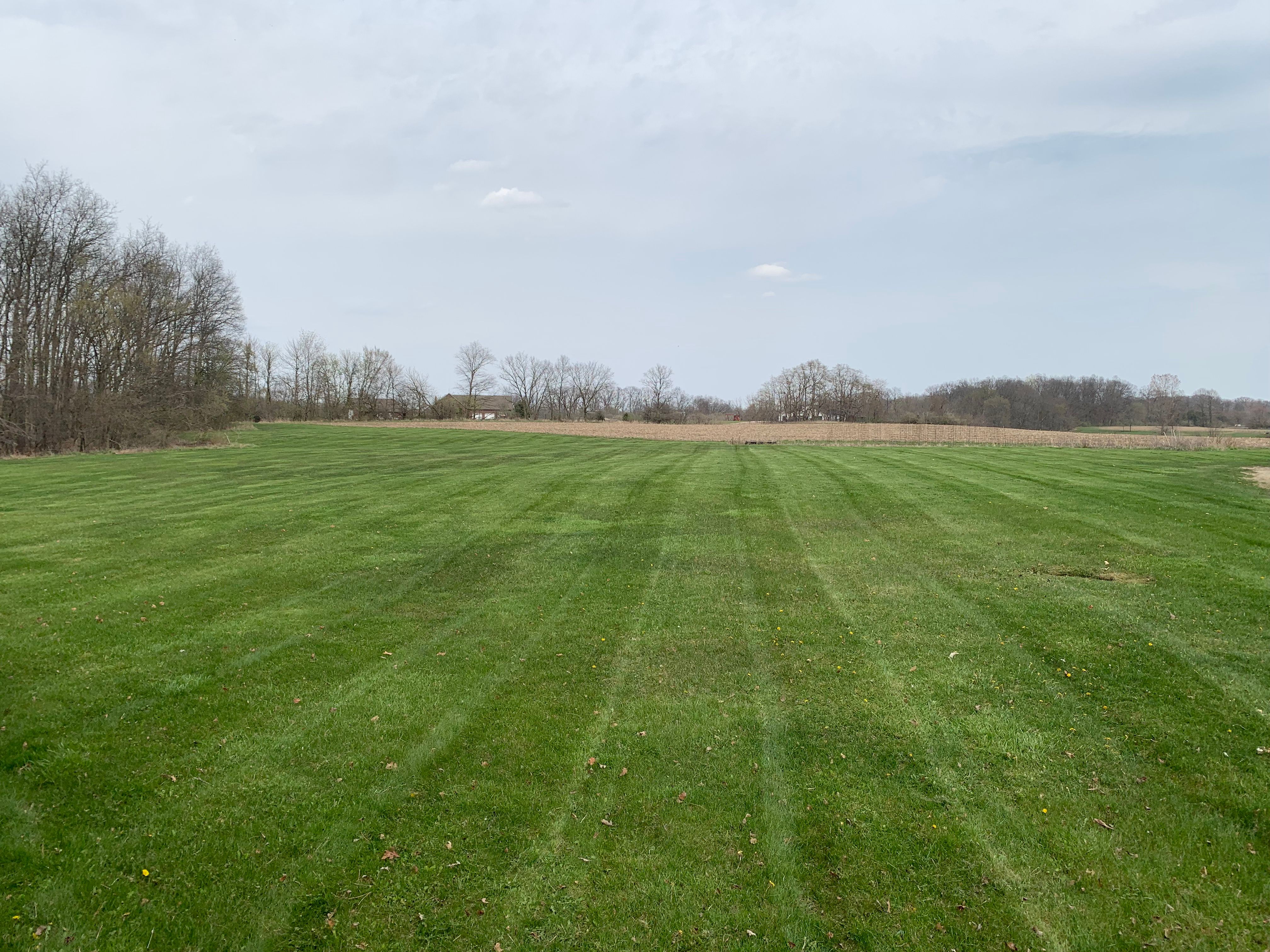 Weekly Lawn Maintenance