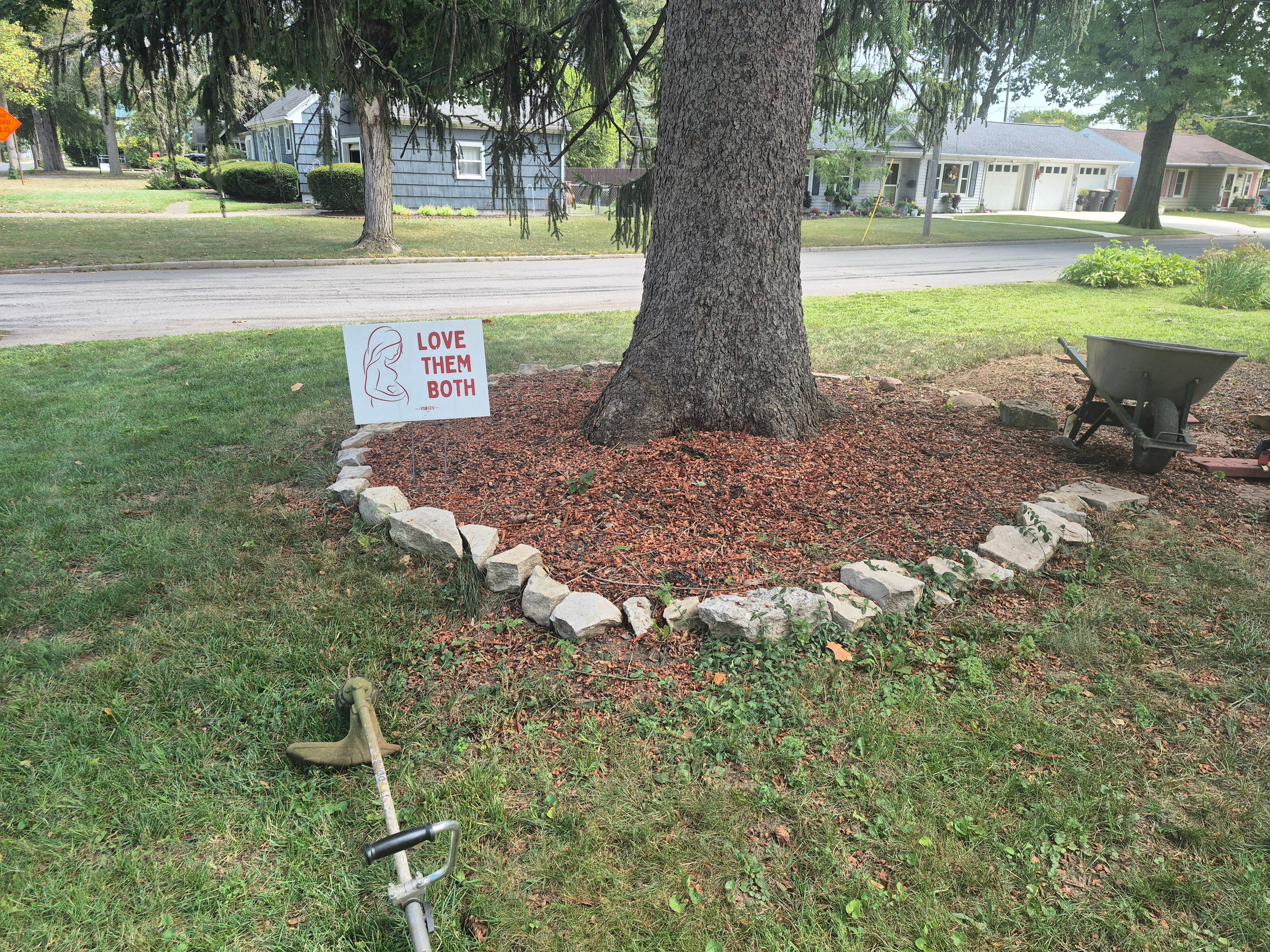 Tree Out Front Before