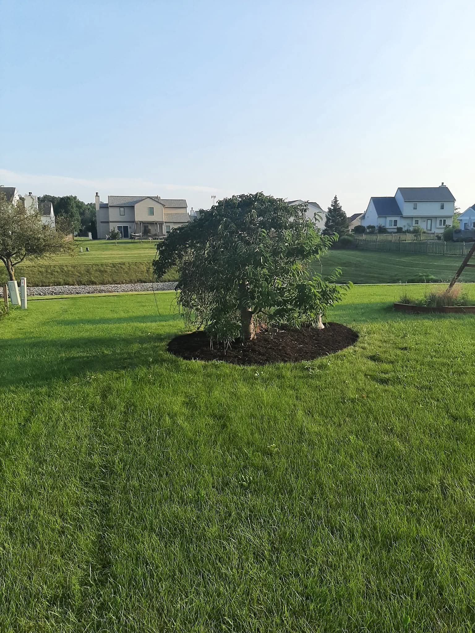 Area In Backyard After