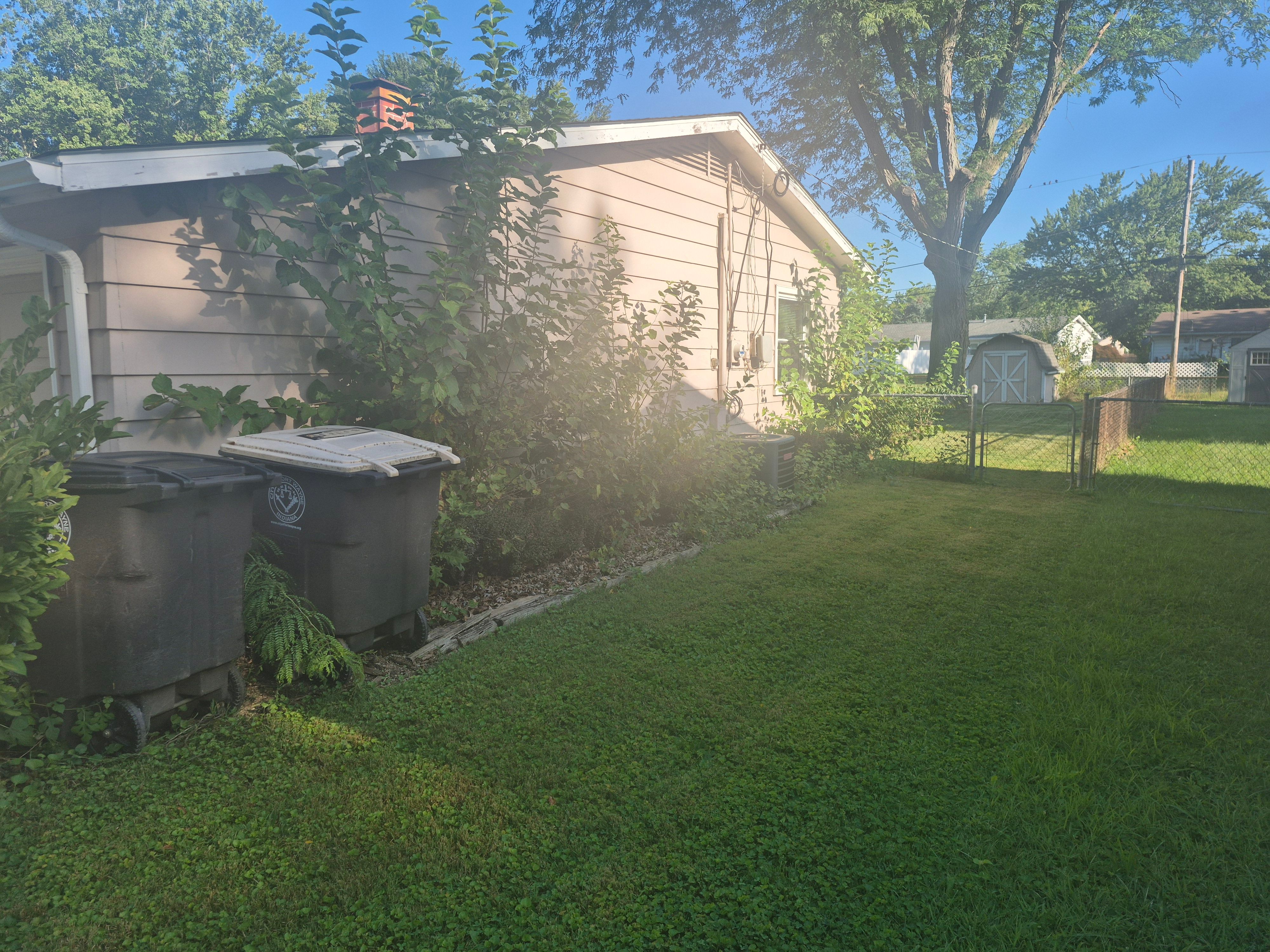 Other Side of House Before Cleanup 