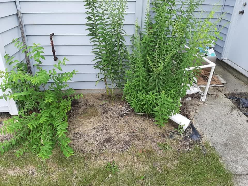 Before Photo of Side of House