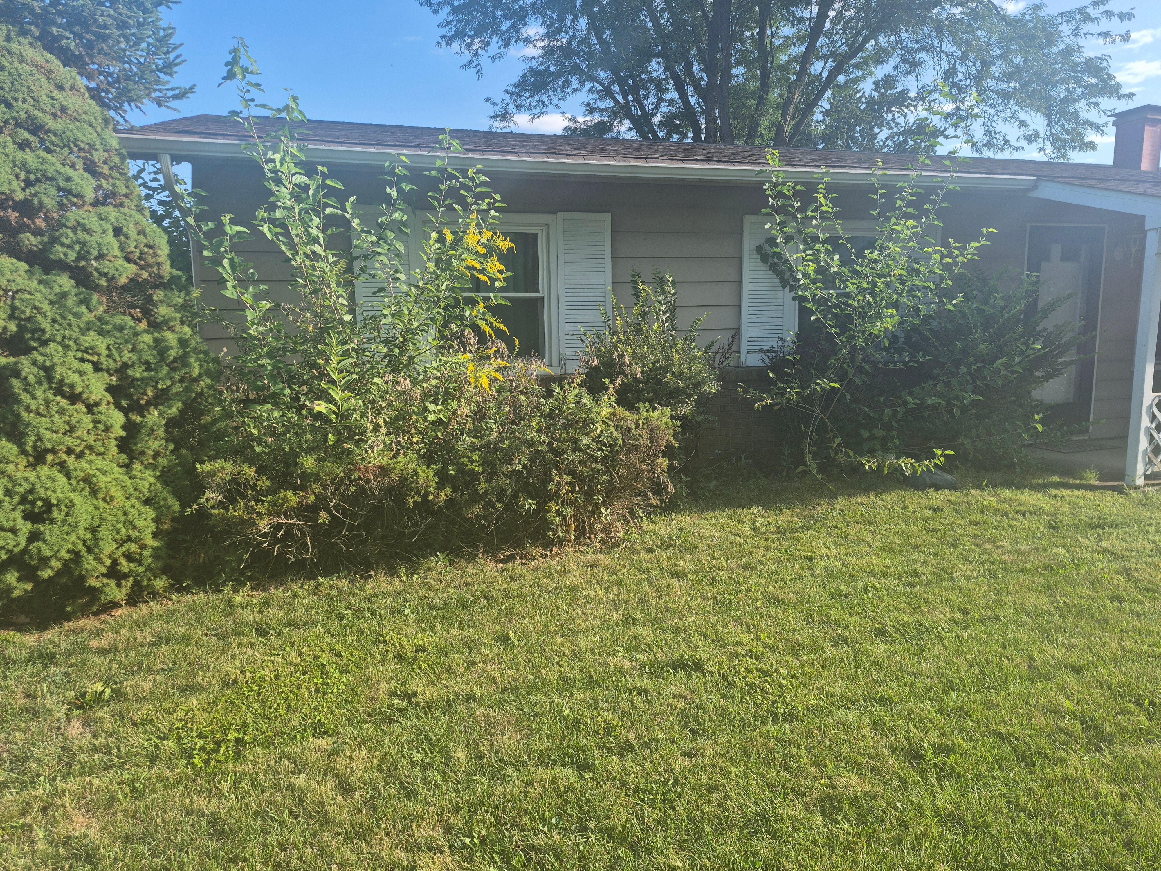 Front of House Before Cleanup 