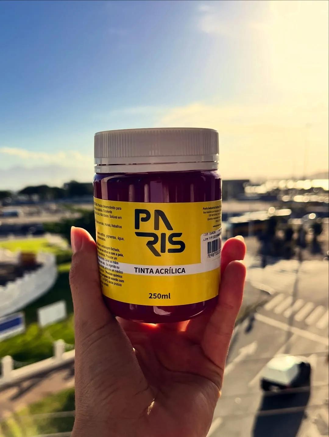 Pote de 250ml de tinta acrílica Paris do Brasil