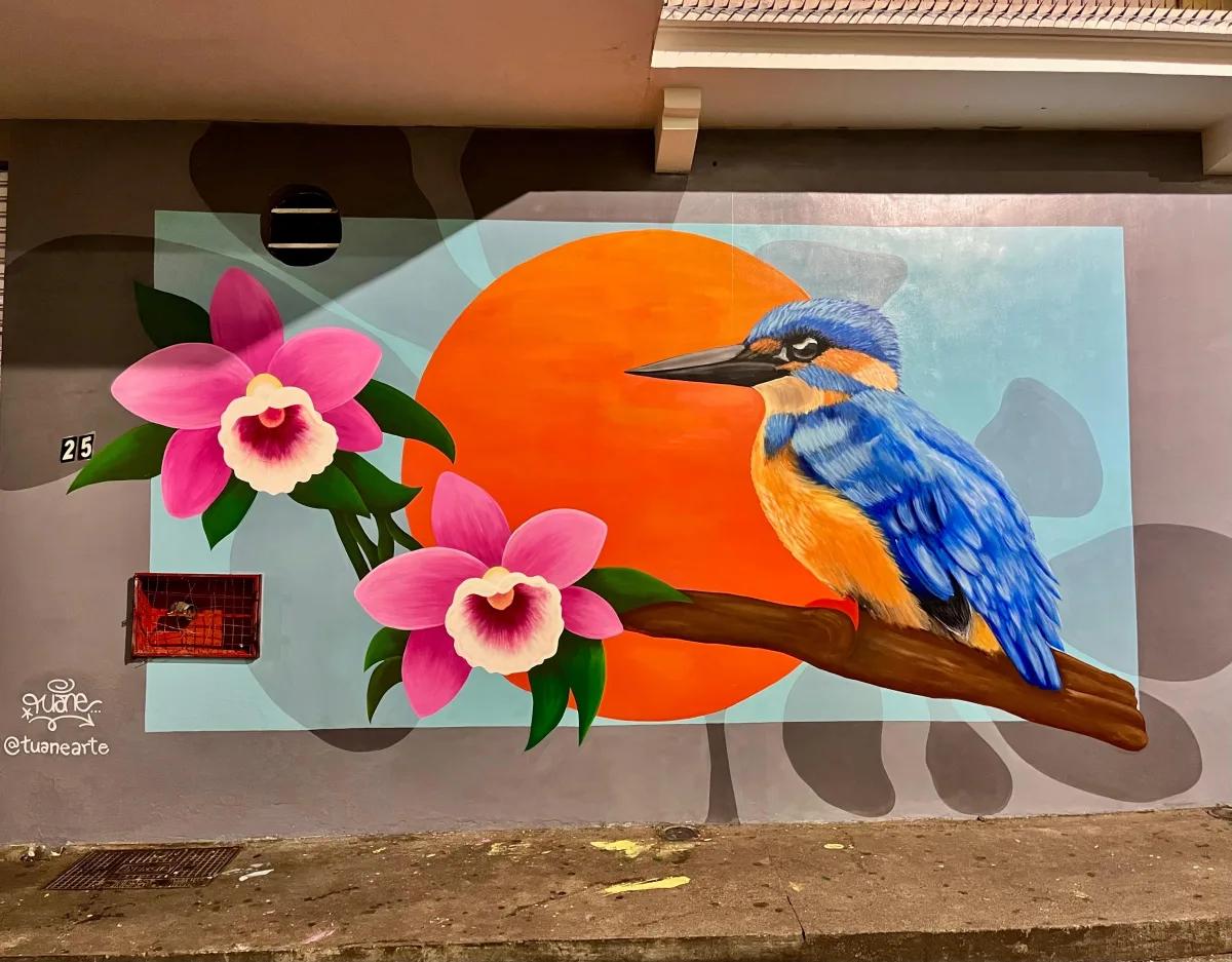 Mural com martim-pescador e laélia-purpúrata no Centro de Florianópolis durante a Maratona Cultural 2026