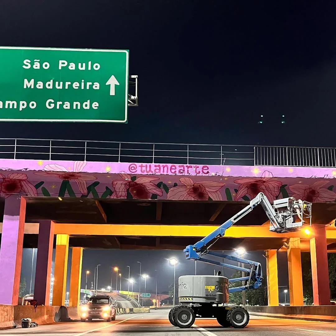 Mural de flores em viaduto urbano de grande escala, por Tuane Arte