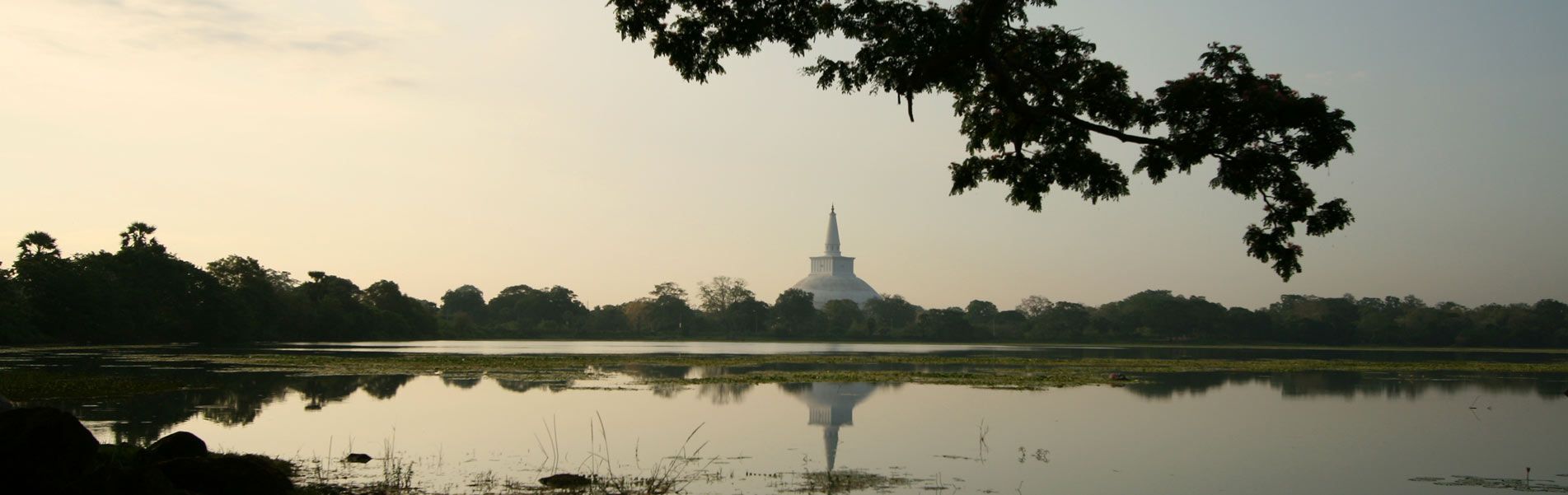 Discover Sri Lanka's Magic!