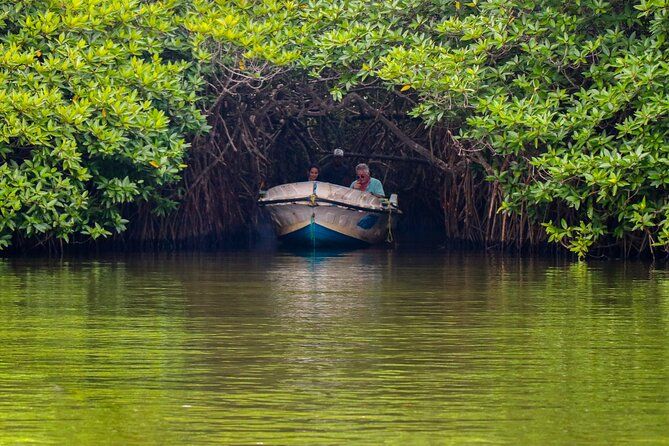 Dive into Sri Lanka's Paradise.