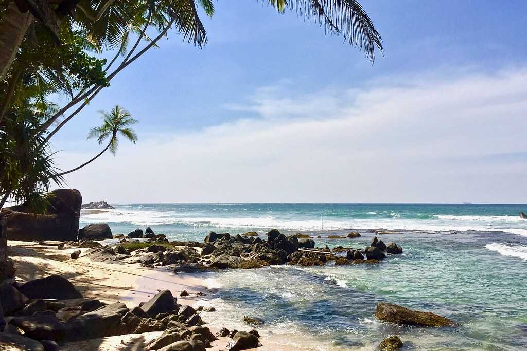 Unleash Your Inner Explorer, Luxury Awaits in Sri Lanka