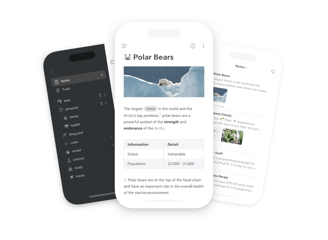 Bear screenshot 2