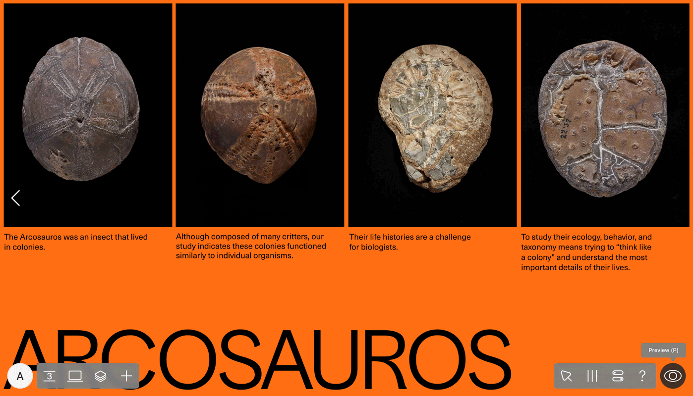 Readymag screenshot 1