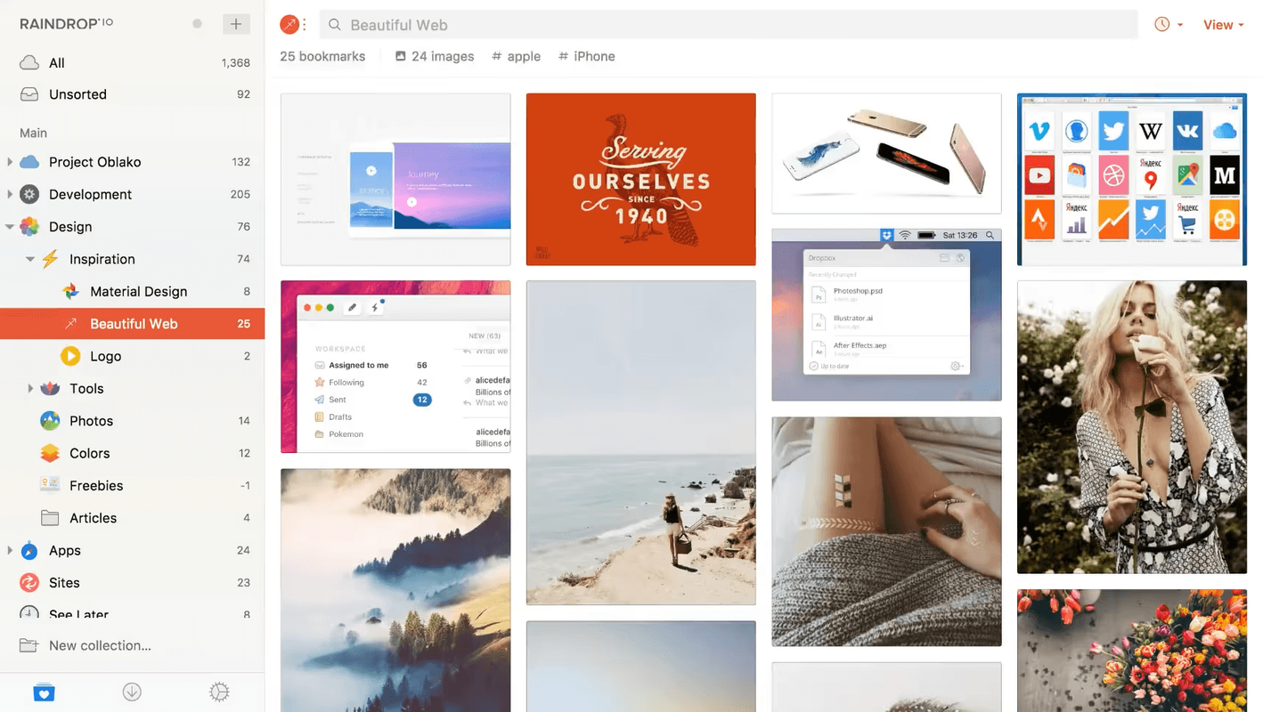 Raindrop screenshot 1