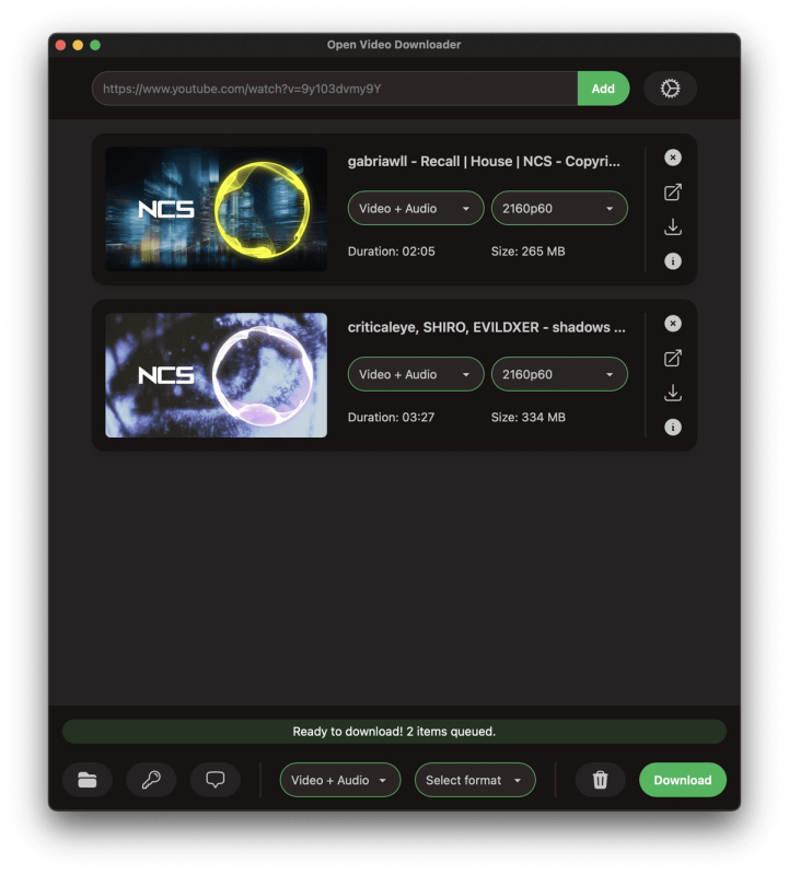 Open Video Downloader screenshot 1