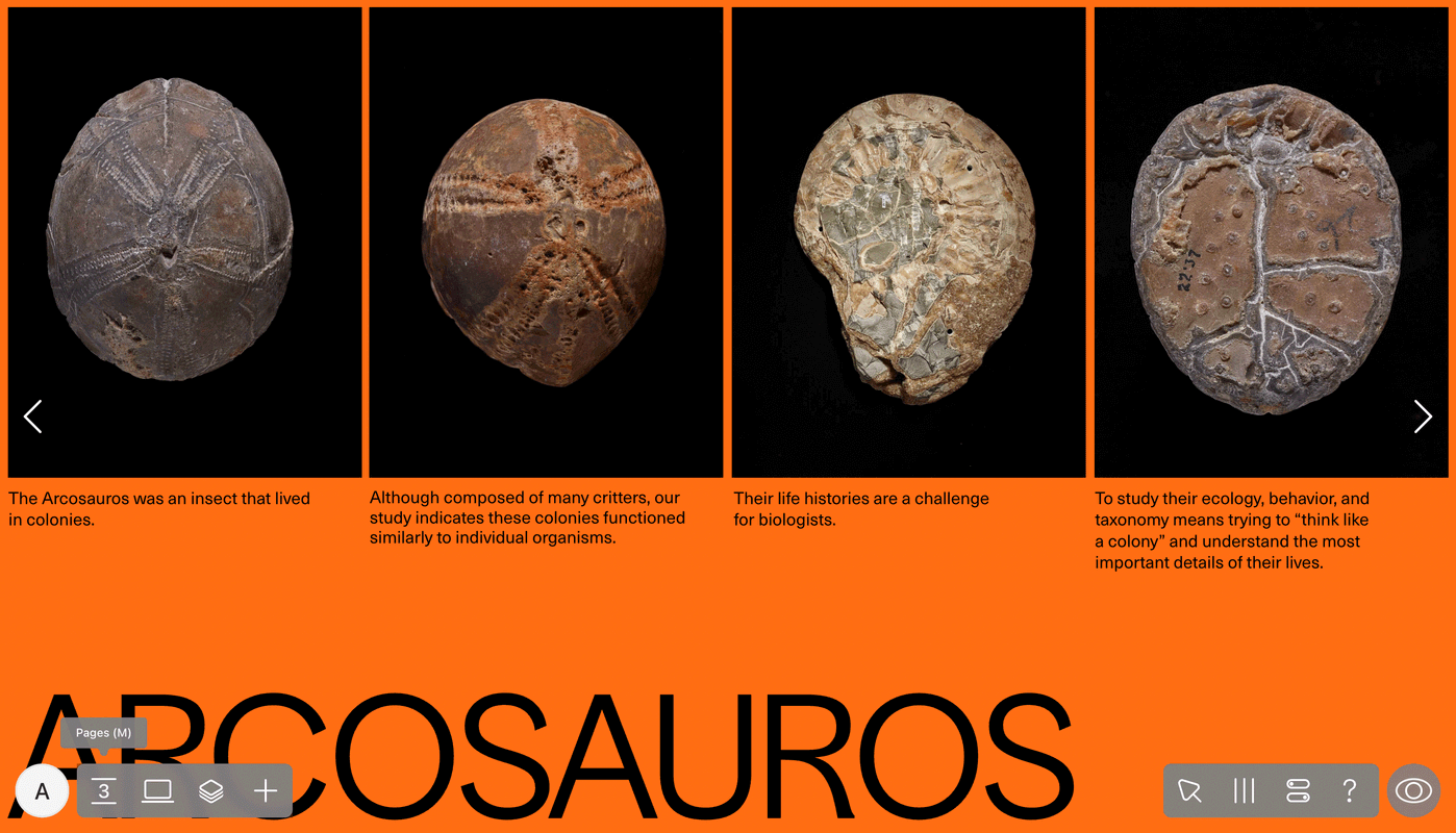 Readymag screenshot 2
