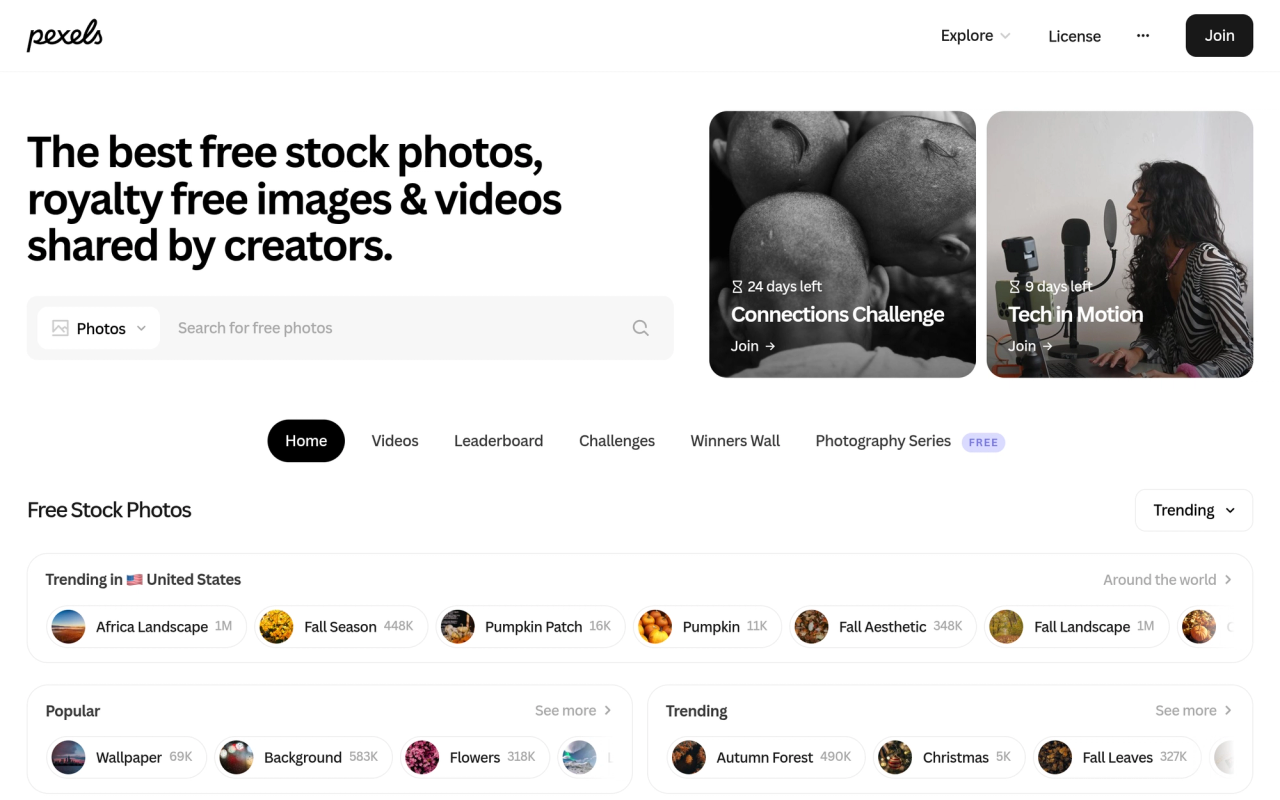 Pexels screenshot 1