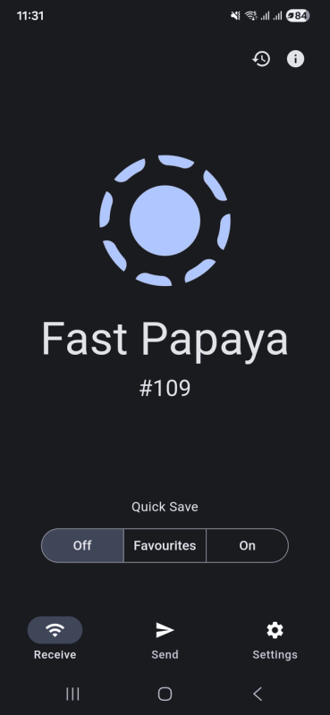 LocalSend screenshot 2