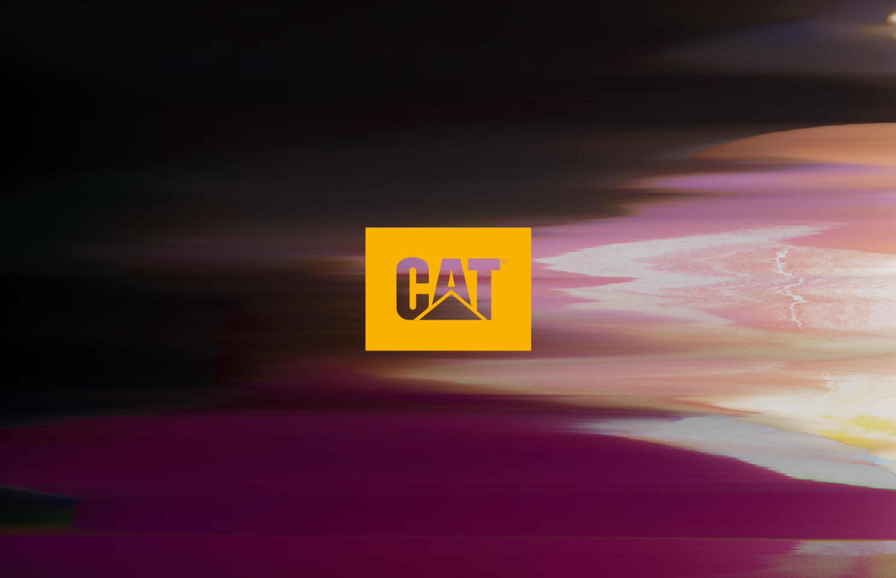 CAT - Logo over campaign graphics