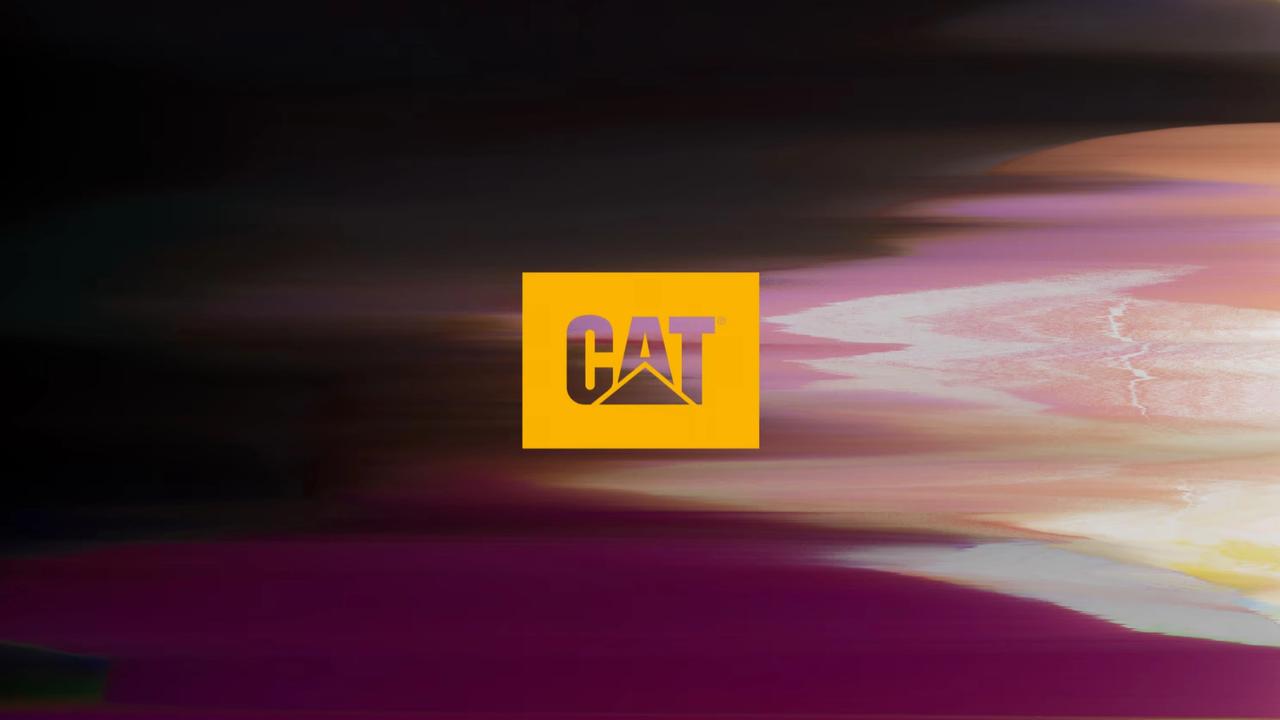 CAT - Logo over campaign graphics