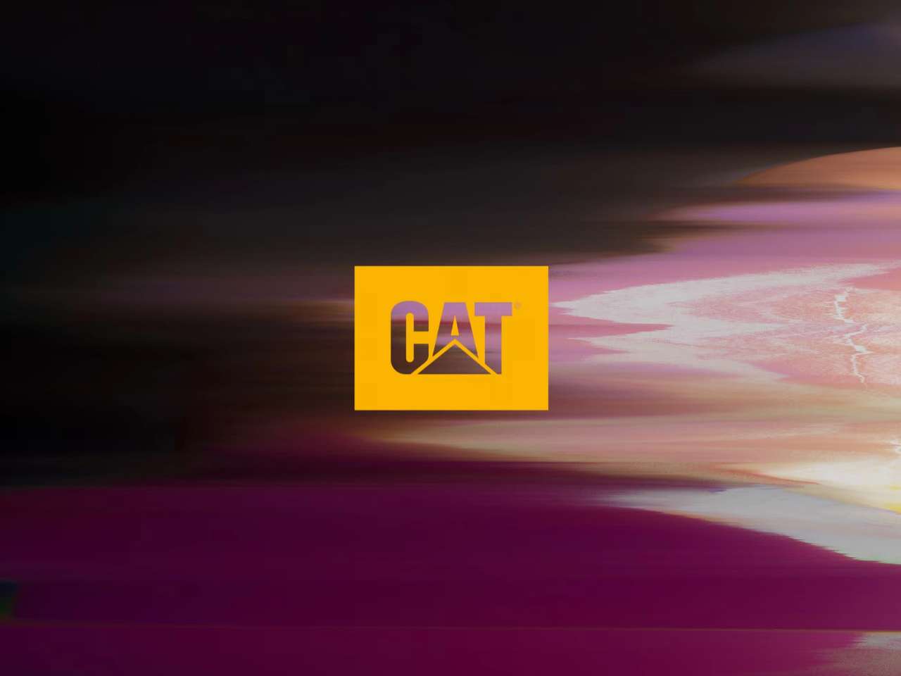 CAT - Logo over campaign graphics