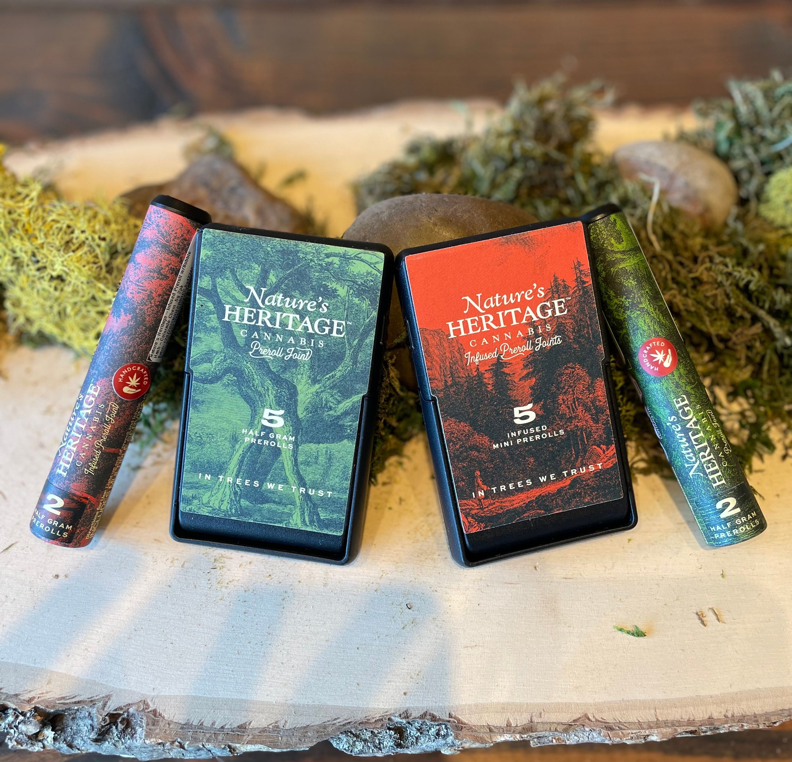 Home Panacea Wellness