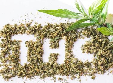 Debunking 5 of THC’s Biggest Myths