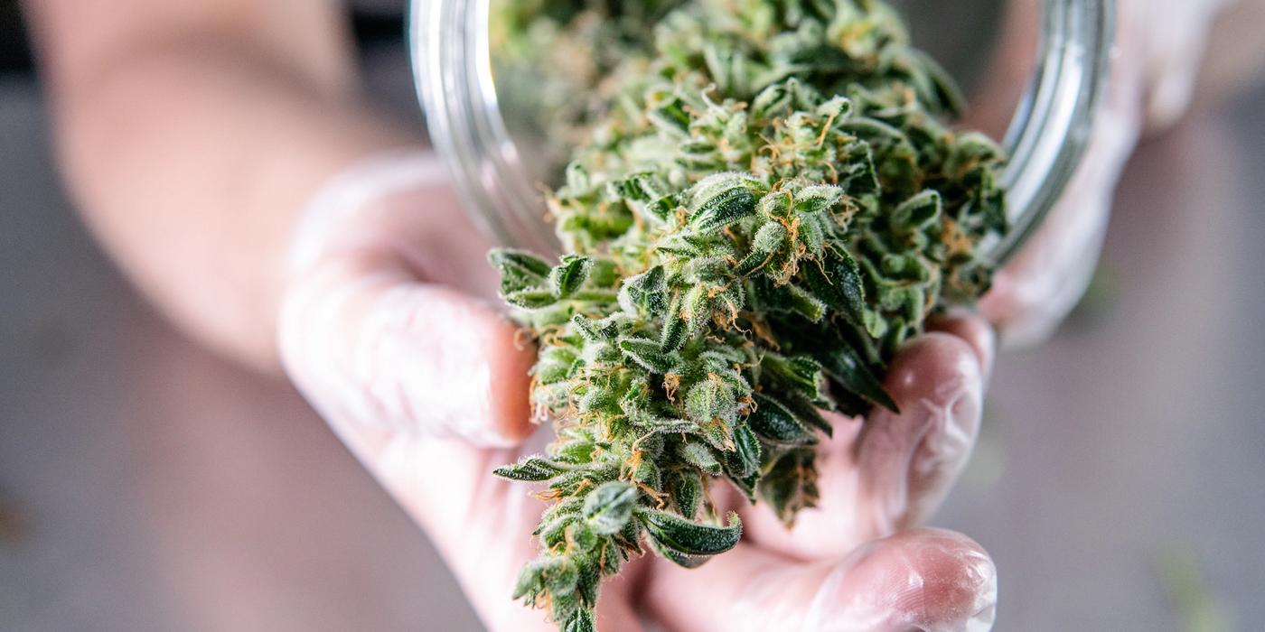 25 8ths Panacea Wellness