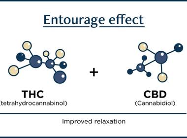The Guide To The Cannabis Entourage Effect