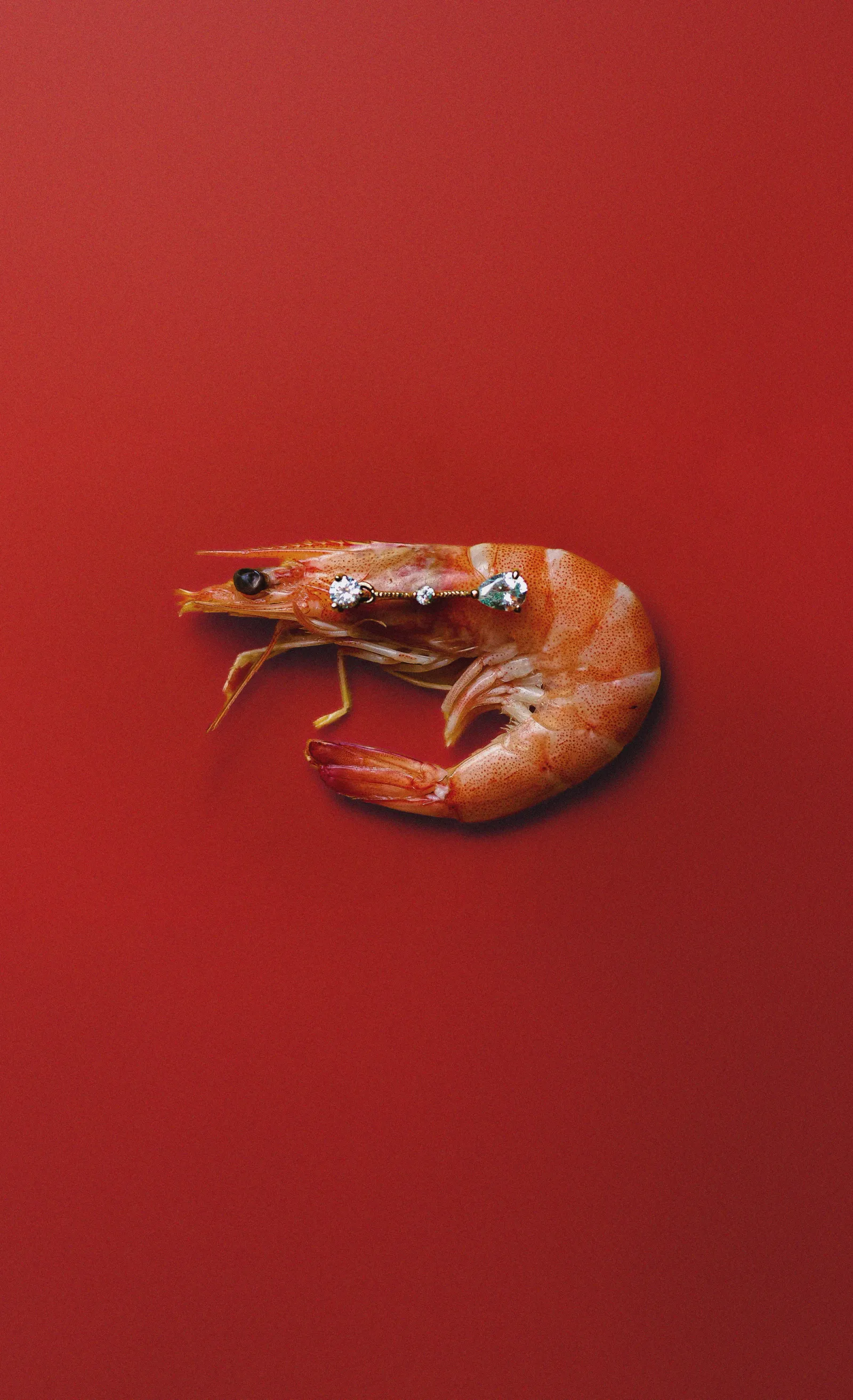 Editorial image
