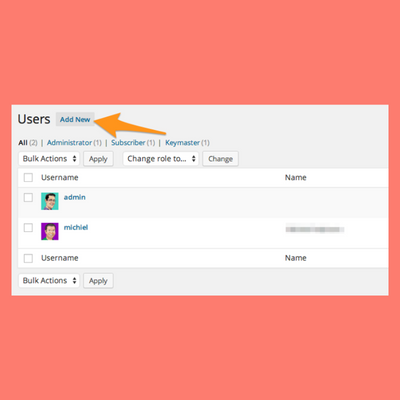 Add New Admin in WP
