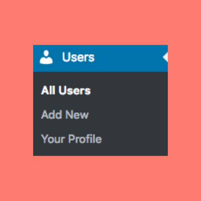 Add a WordPress Admin