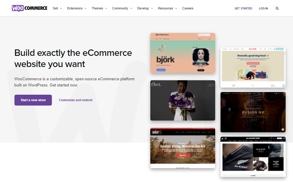 WooCommerce Memberships Plugin
