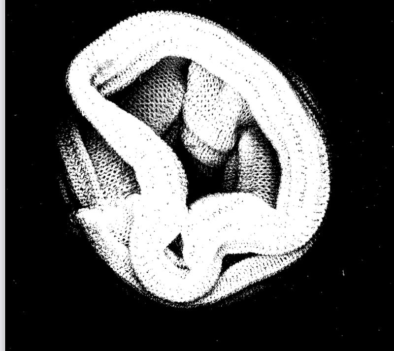 Scrunchies and Dress