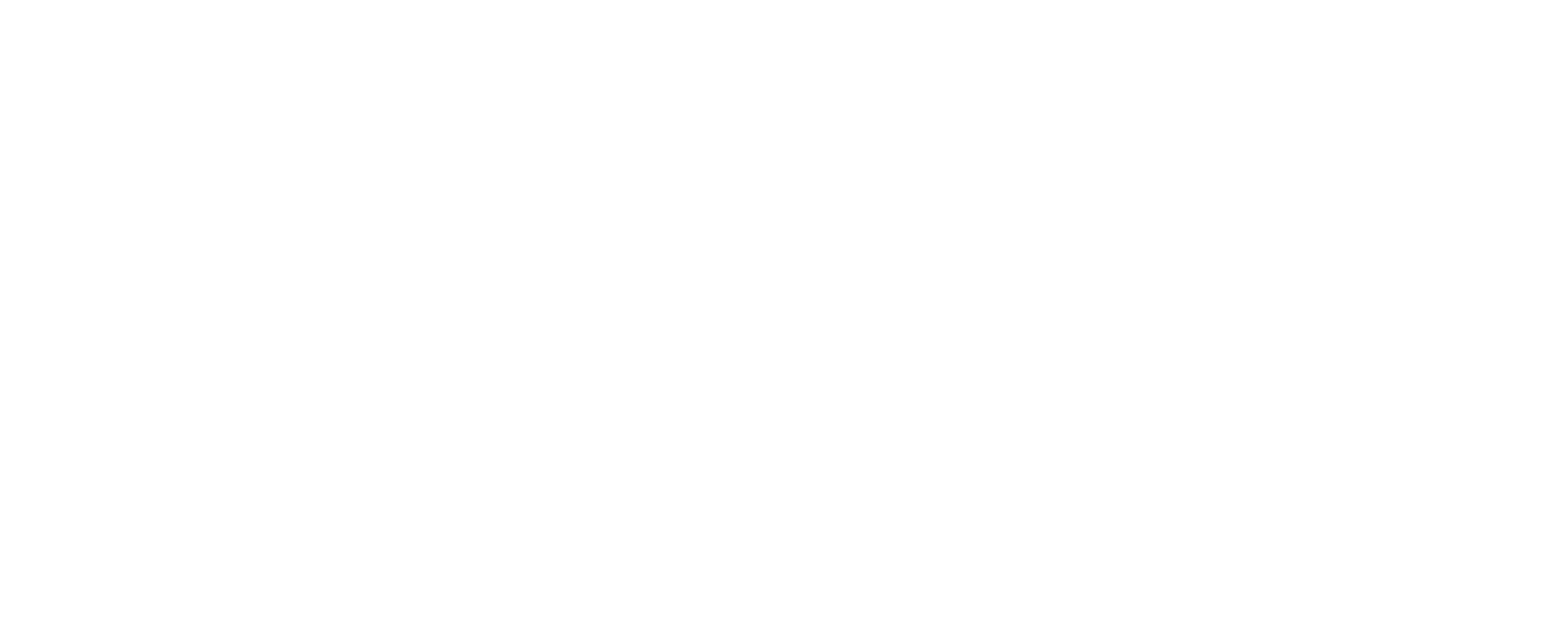 Lenny grey logo