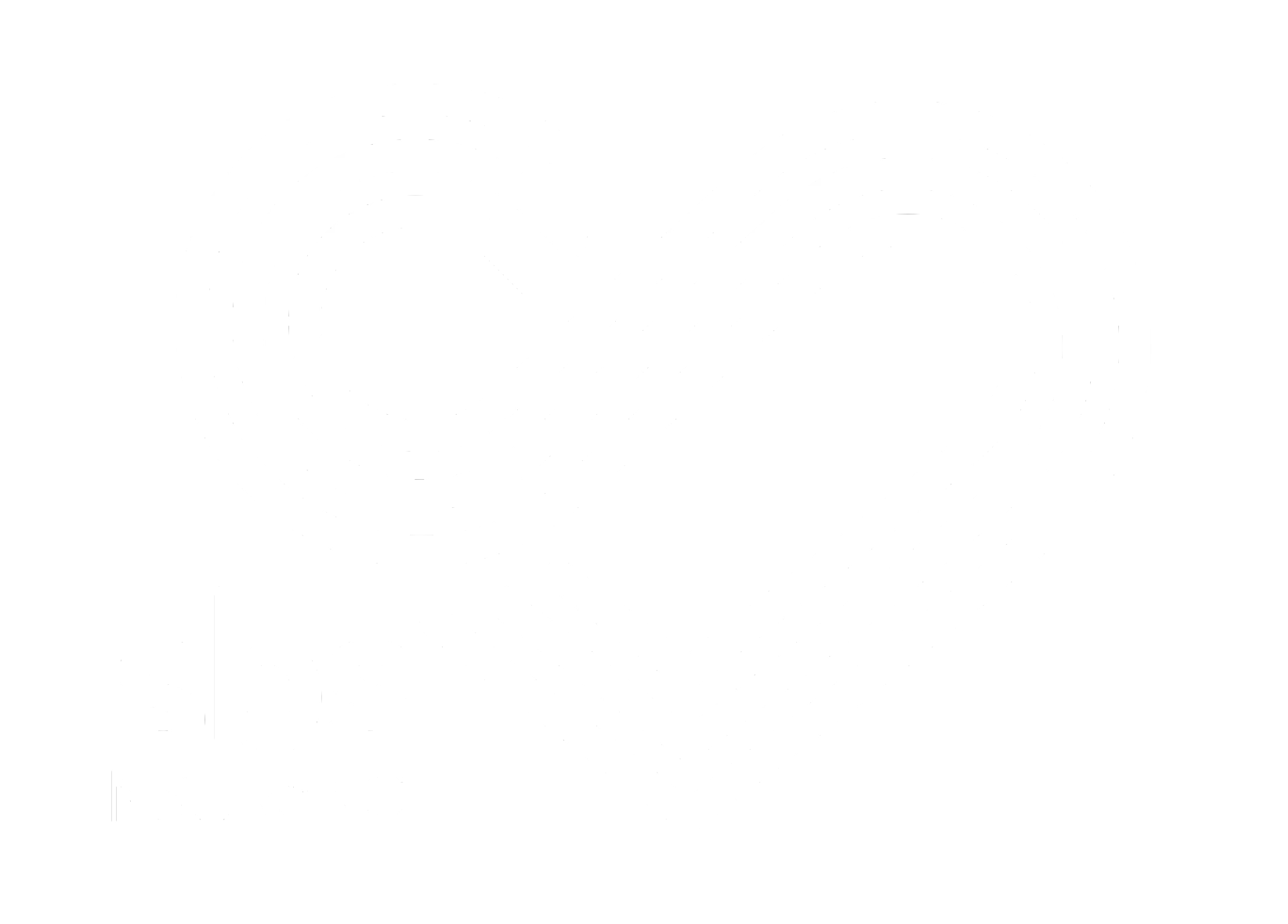 SBS finance