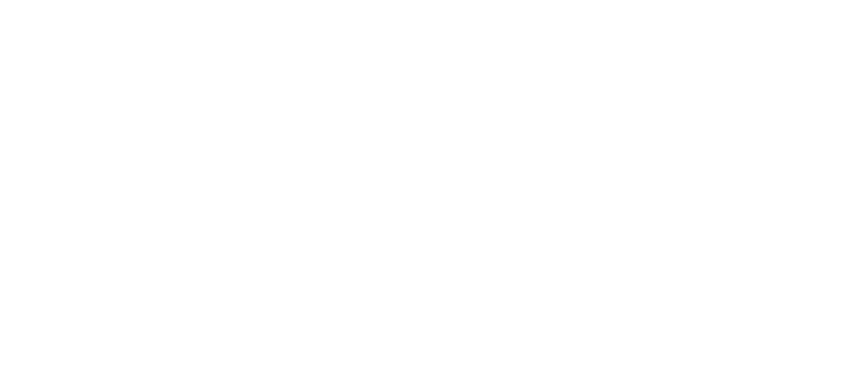 Nectar Money logo