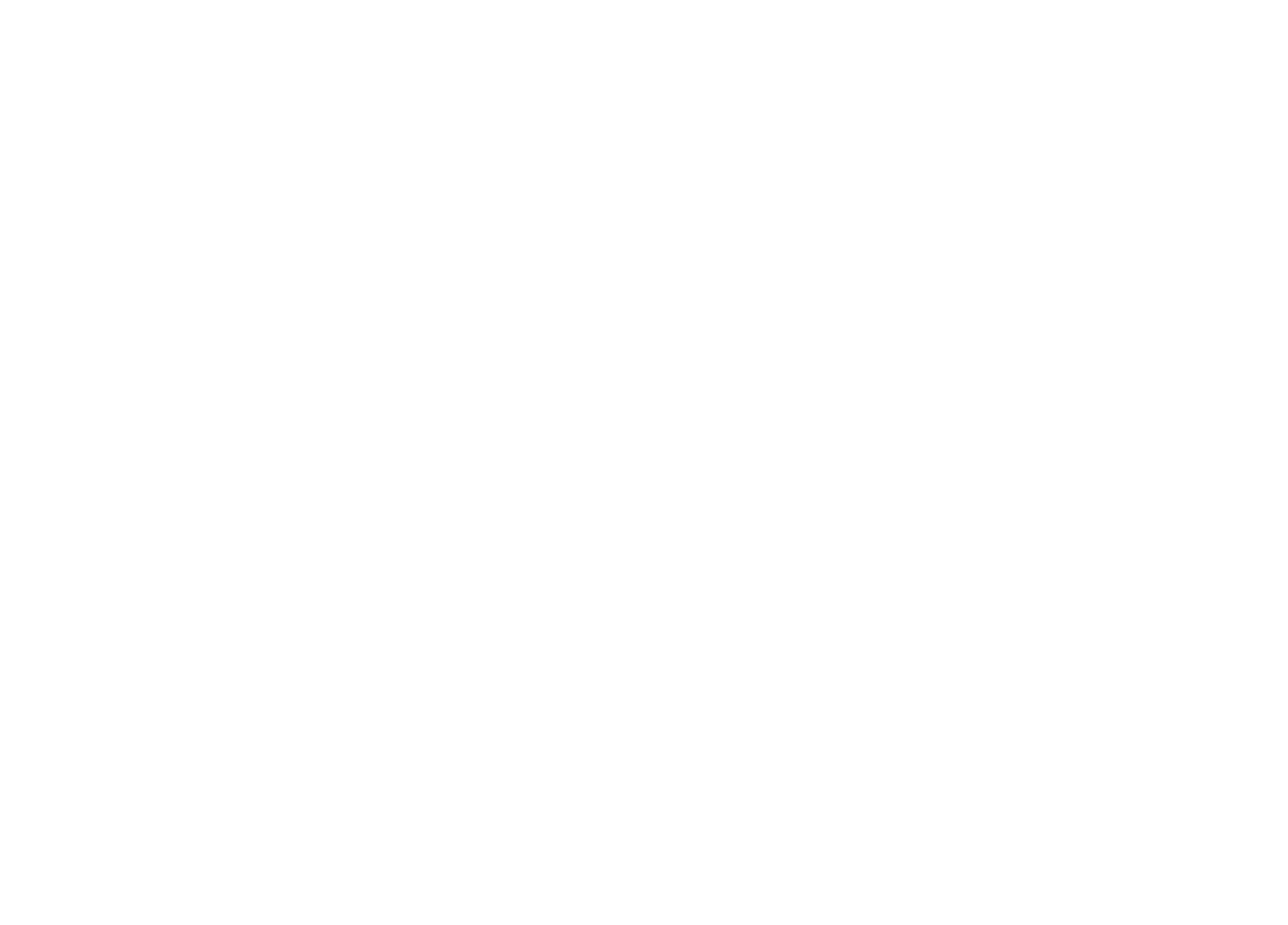 SBS finance